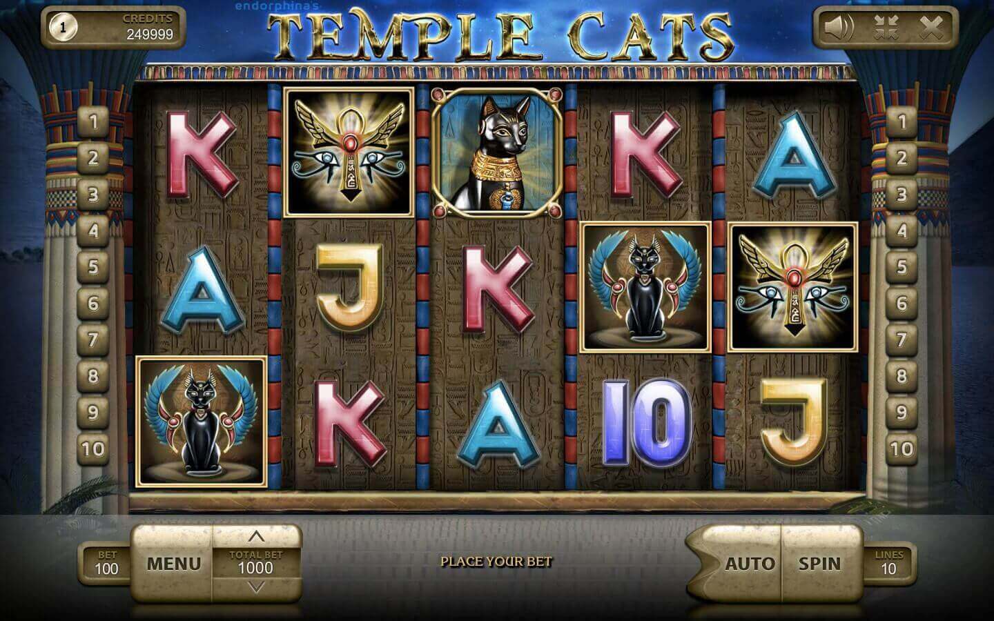 Temple Cats Mängu protsess