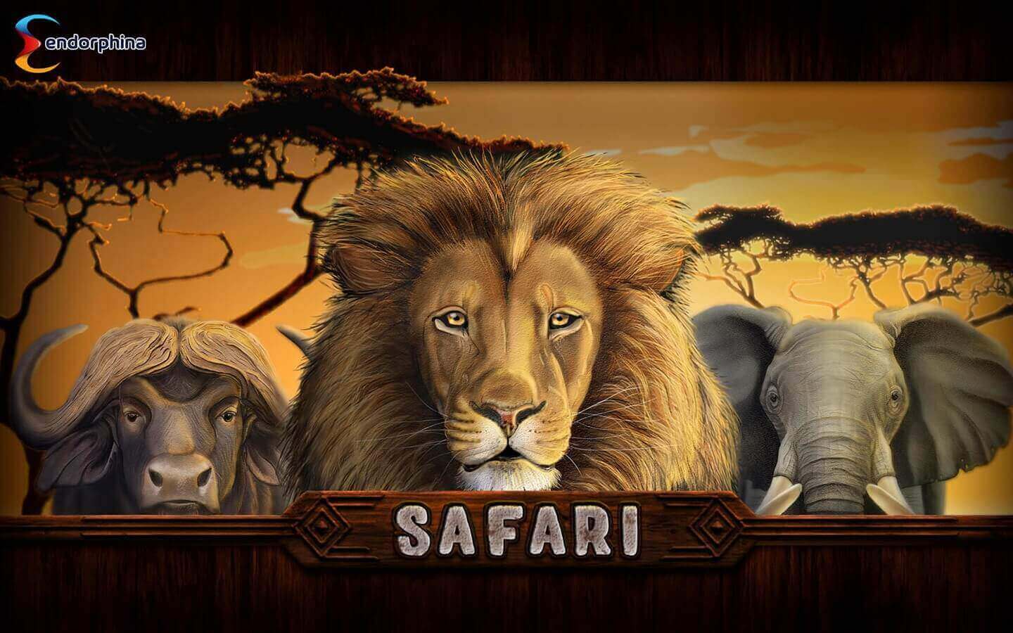 Safari Mängu protsess